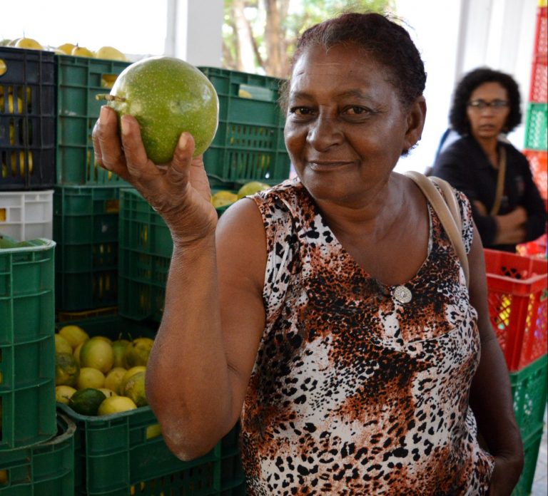 Mulheres, Quintais Produtivos e a Agroecologia